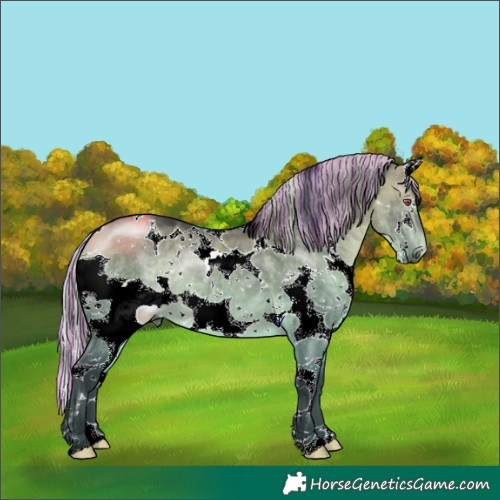 Horse Color:Painted White Spotted Silver Bay Chinchilla Dun Splash Tobiano 
