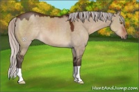 Horse Color:Silver Brown Dun