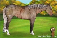 Horse Color:Silver Brown Dun Brindle 