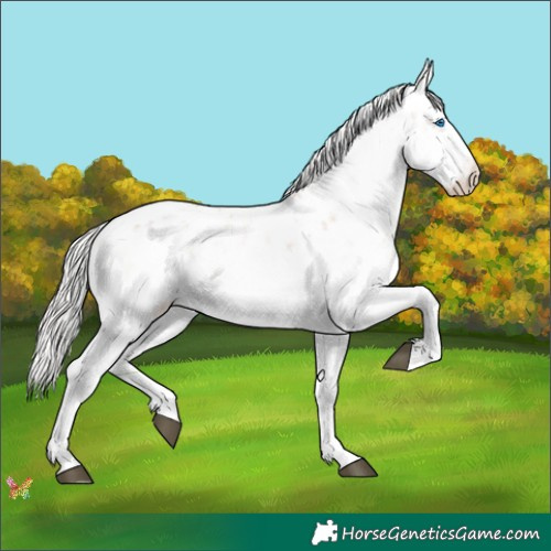 Horse Color:White Spotted Silver Bay Ice Onyx Sabino Splash Rabicano