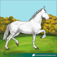 Horse Color:White Spotted Silver Bay Ice Onyx Sabino Splash Rabicano 
