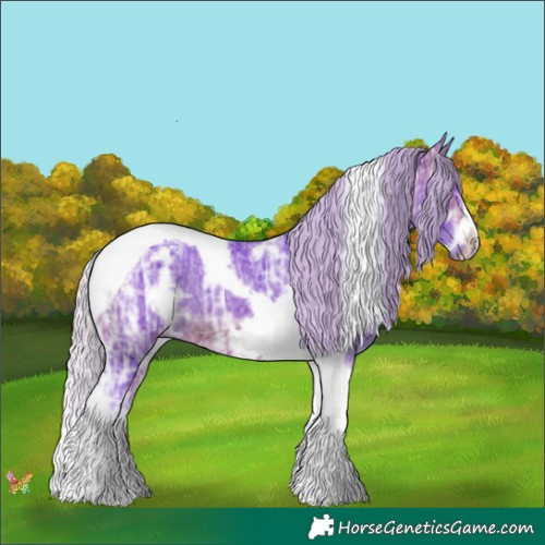 Horse Color:Watercolor White Spotted Silver Brown Ice Tobiano Frame Rabicano 
