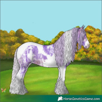 Horse Color:Watercolor White Spotted Silver Brown Ice Tobiano Frame Rabicano 