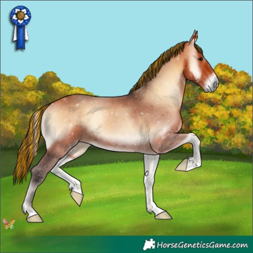 Horse Color:Painted Bay Onyx Rabicano 