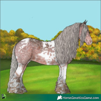 Horse Color:Silver Brown Ice Tobiano 