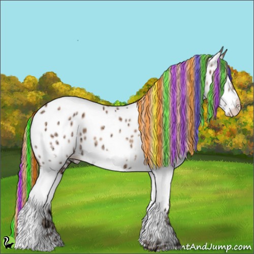 Horse Color:Painted White Spotted Gold Champagne Ice Appaloosa 