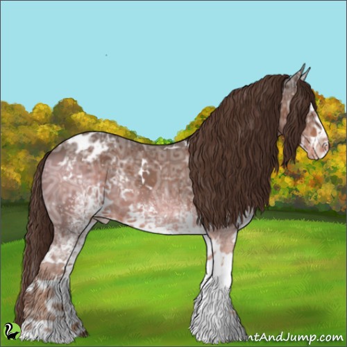 Horse Color:White Spotted Liver Chestnut Ice Appaloosa 