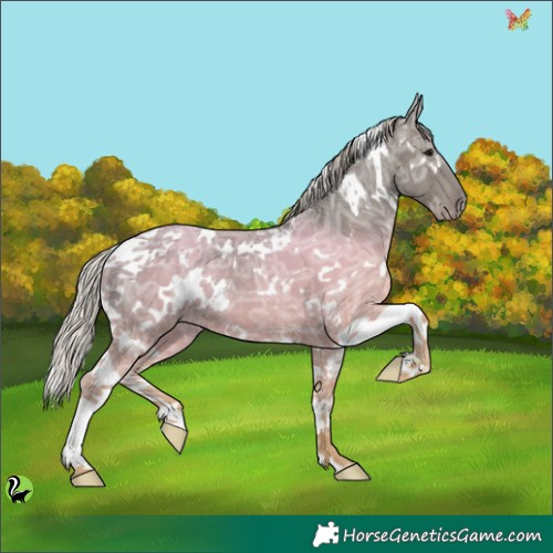 Horse Color:White Spotted Silver Black Ice Tobiano 