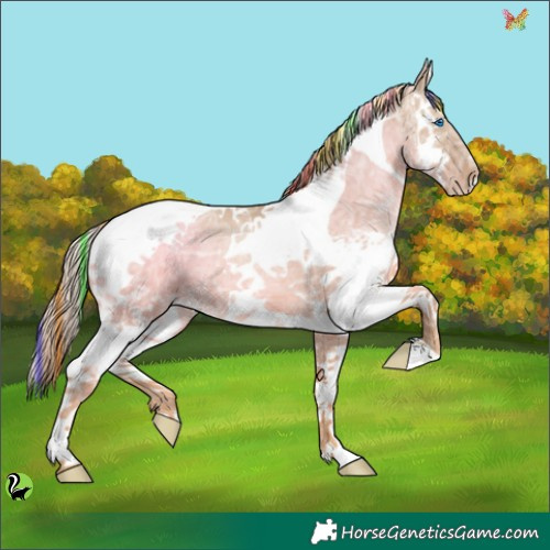 Horse Color:Painted White Spotted Liver Red Dun Ice Pearl Splash Tobiano 