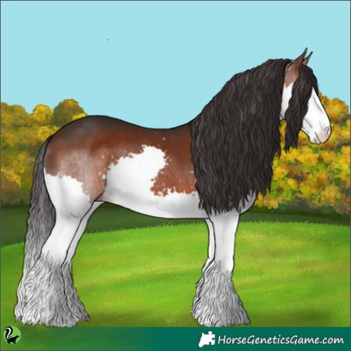 Horse Color:Brown Splash 