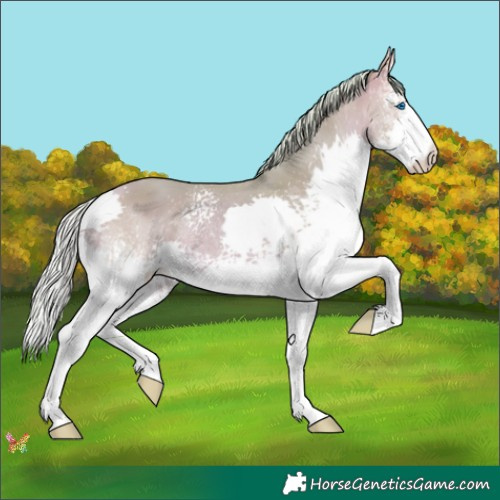Horse Color:Watercolor White Spotted Silver Amber Champagne Splash 