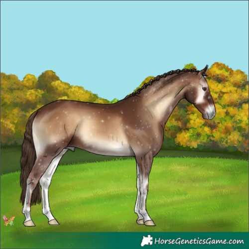 Horse Color:Red Onyx 
