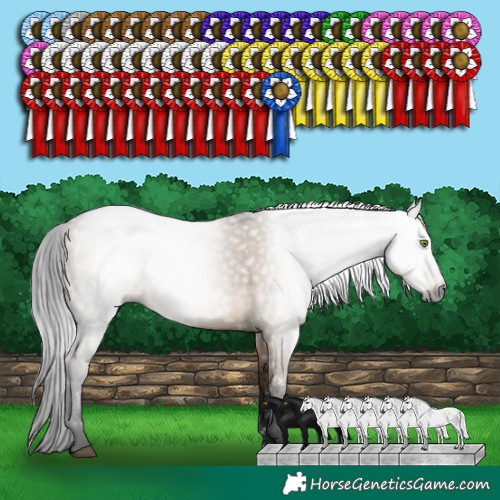 Horse Color:Gray White Spotted Brown Dun Rabicano 