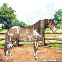Horse Color:White Spotted Brown Pearl Sabino 