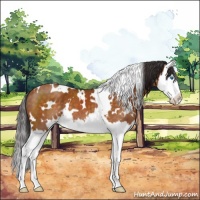 Horse Color:White Spotted Buckskin Splash 