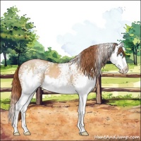 Horse Color:White Spotted Buckskin Pearl Splash 