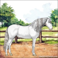 Horse Color:White Spotted Silver Black 