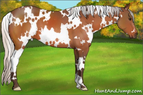 Horse Color:White Spotted Silver Brown 