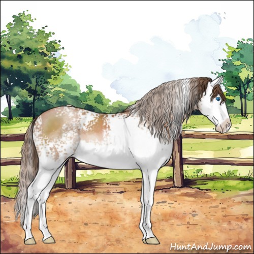 Horse Color:White Spotted Brown Pearl Sabino Splash
