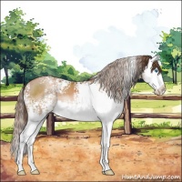 Horse Color:White Spotted Brown Pearl Sabino Splash 