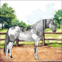 Horse Color:White Spotted Black