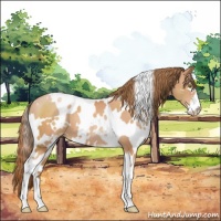 Horse Color:White Spotted Brown Pearl Sabino 