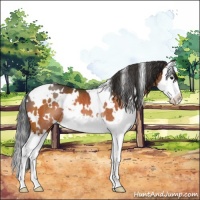Horse Color:White Spotted Brown Splash Rabicano 