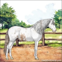 Horse Color:White Spotted Black Pearl Appaloosa 