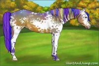 Horse Color:Painted Watercolor White Spotted Brown 