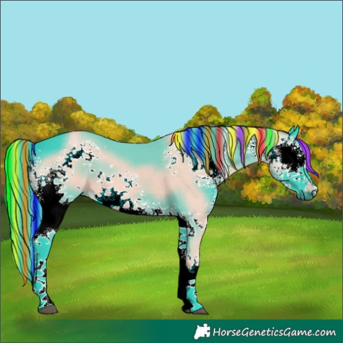 Horse Color:Painted Watercolor White Spotted Black