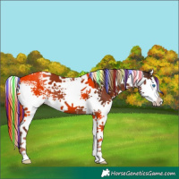 Horse Color:Painted White Spotted Liver Chestnut Splash 