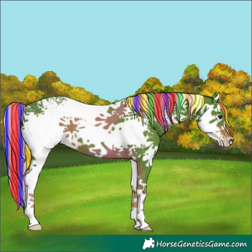 Horse Color:Painted Watercolor White Spotted Liver Chestnut Splash