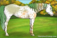 Horse Color:Watercolor White Spotted Liver Red Dun Splash 