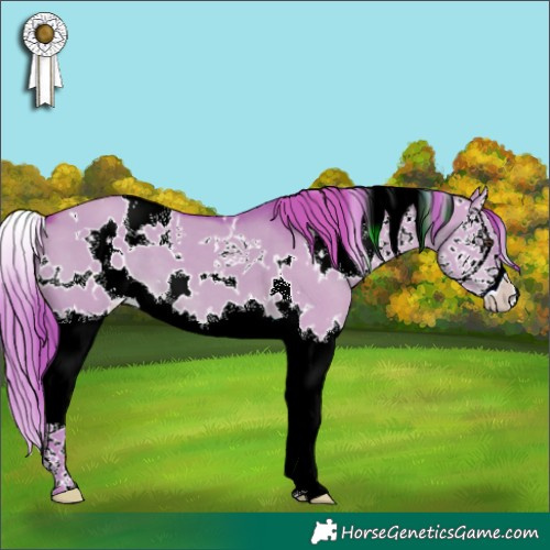 Horse Color:Watercolor White Spotted Liver Red Dun Splash 