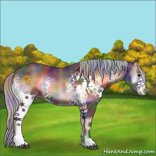 Horse Color:Nacre White Spotted Silver Brown Onyx Sabino 