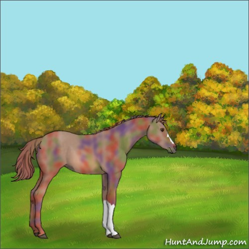 Horse Color:Nacre Chestnut 