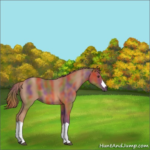 Horse Color:Nacre Chestnut 