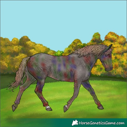 Horse Color:Nacre Liver Chestnut 