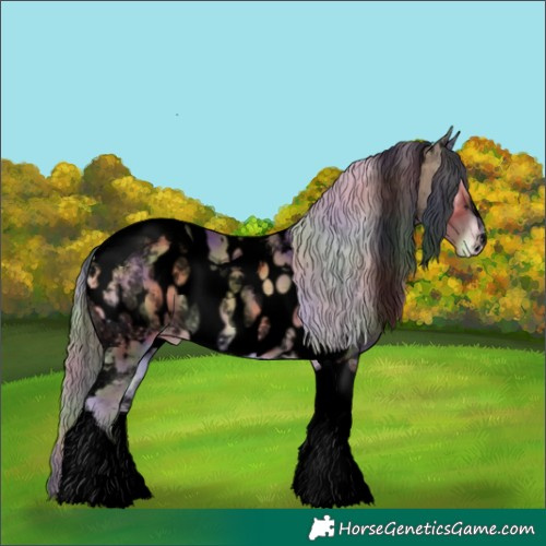 Horse Color:Void Nacre Chocolate Palomino Onyx Mushroom Tobiano Appaloosa 