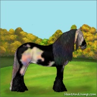 Horse Color:Void Nacre Palomino Onyx Tobiano Frame