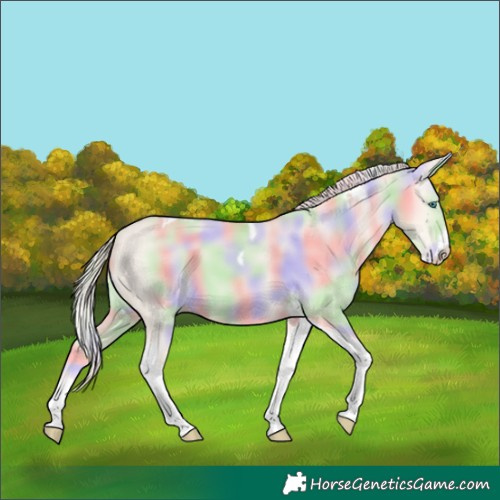 Horse Color:Nacre Cremello Dun Tobiano Frame 