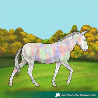 Horse Color:Nacre Cremello Dun Tobiano Frame 
