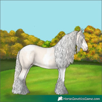 Horse Color:Cremello Dun Tobiano