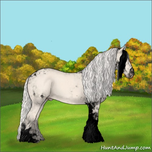 Horse Color:Void Cremello Tobiano 
