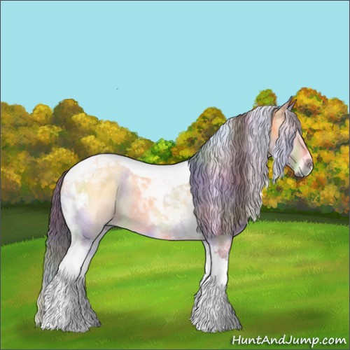 Horse Color:Nacre Buckskin Roan Onyx Tobiano