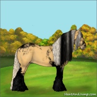 Horse Color:Void Palomino Tobiano 