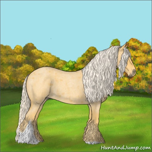 Horse Color:Palomino Roan Tobiano 