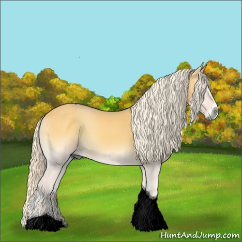 Horse Color:Void Palomino Onyx Tobiano 