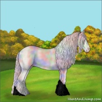 Horse Color:Void Nacre Cremello Roan Onyx Tobiano