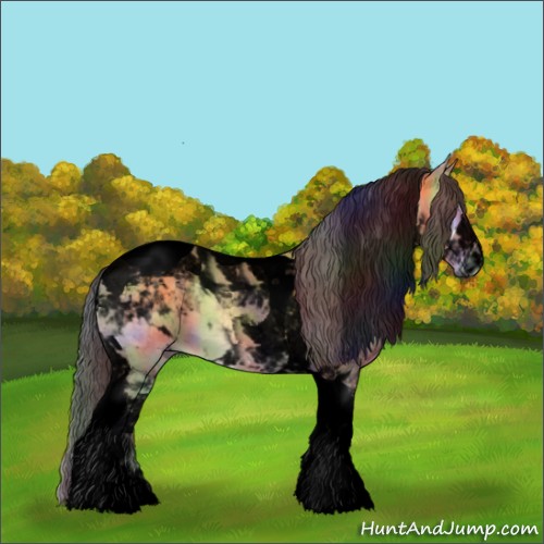 Horse Color:Void Nacre Buckskin Onyx Tobiano 